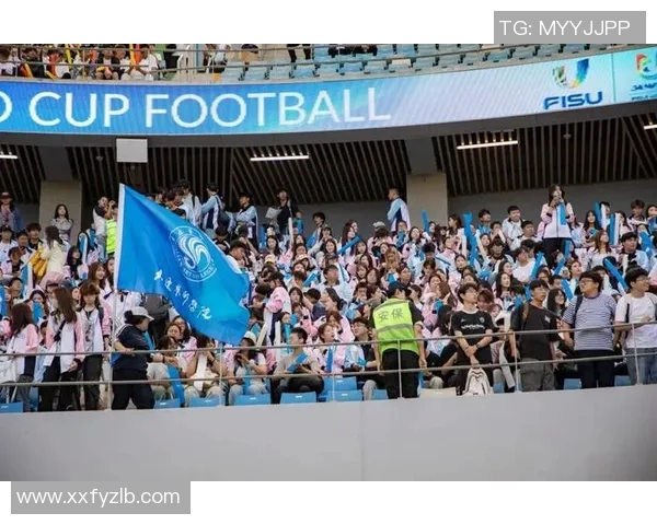 世界杯明星闪耀全球赛场激情再燃球迷热血共赴荣耀之路