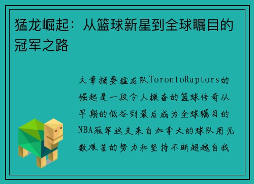 猛龙崛起：从篮球新星到全球瞩目的冠军之路